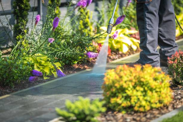Best Gutter Cleaning  in Oakley, CA